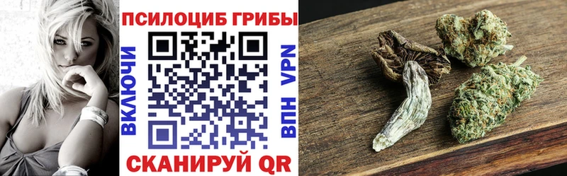 Псилоцибиновые грибы ЛСД  Петровск 