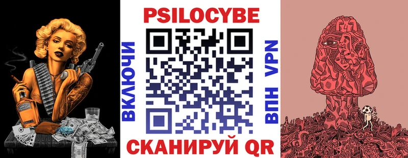 Псилоцибиновые грибы Cubensis Петровск